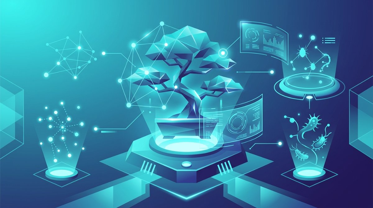 Plagas y Enfermedades del Bonsái: Guía Práctica para Identificar y Curar tu Árbol